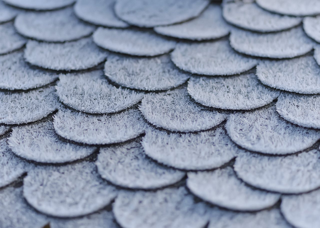 Detailed close-up of frosted shingles showcasing winter texture and pattern.